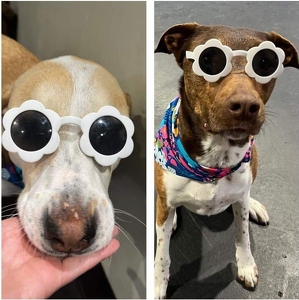 Fundraising Page: Beth Brown